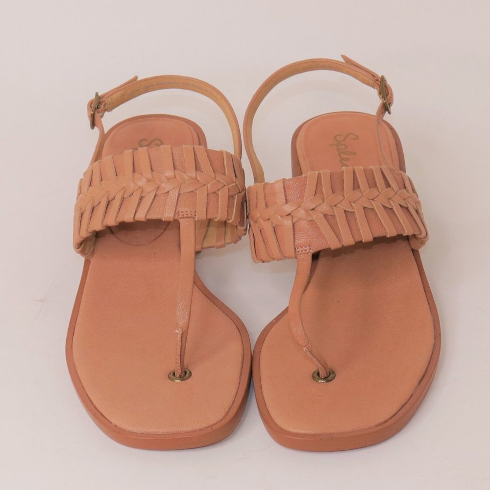 Splendid | Tempo T-Strap Woven Sandal